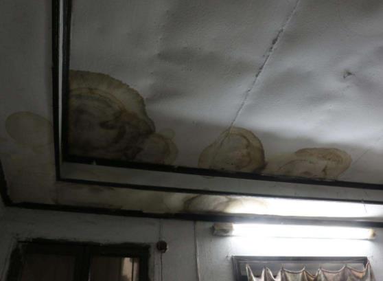 ppr水管漏水怎么辦？告訴你最有效正確的解決方式